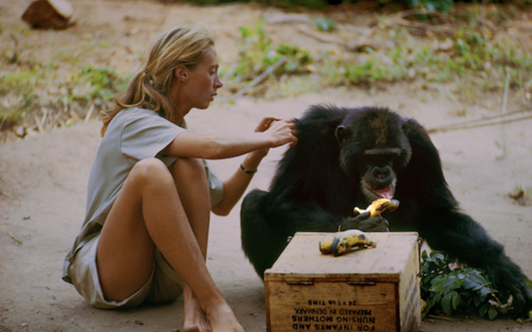 Foto: © mindjazz pictures