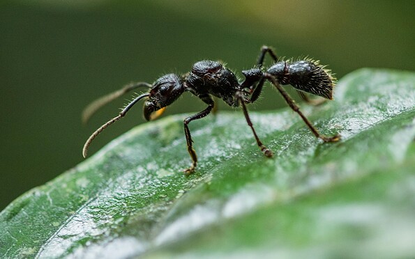 Foto: © nautilus Film