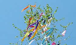 Maibaum Aufstellen Stadt Fehrbellin