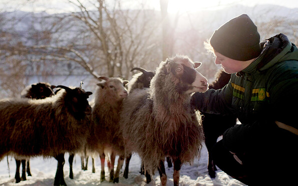 Foto: Produksjoner AS, Lizenz: Produksjoner AS