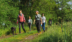 Naturpark Uckermärkische Seen (1): Von Lychen nach Templin