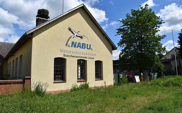 Foto: Andrina Loewe, Lizenz: Gemeinde Fehrbellin