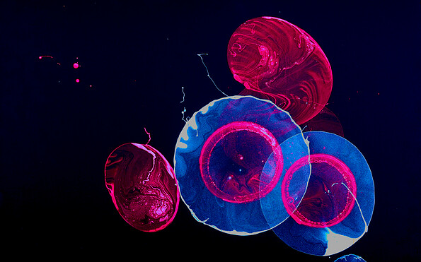 Foto: Kena Hüsers, Lizenz: Kena Hüsers