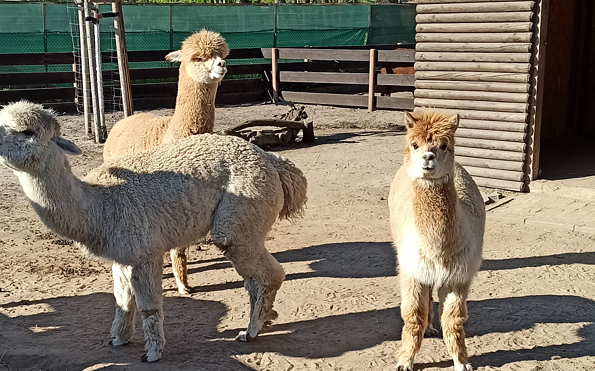 Foto: Kathleen Brandau, Lizenz: Gemeinde