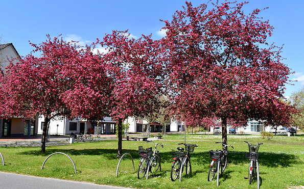 Foto: Tourismusverein Scharmützelsee e. V. , Lizenz: Tourismusverein Scharmützelsee e. V.