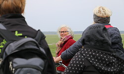 Geführte Radtour zum BiosphäreElbeMarkt in Dömitz