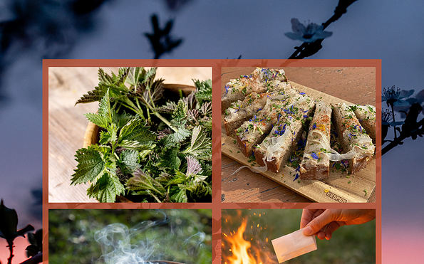 Foto: Marie Leßnig, Lizenz: Gut Leben Landresort