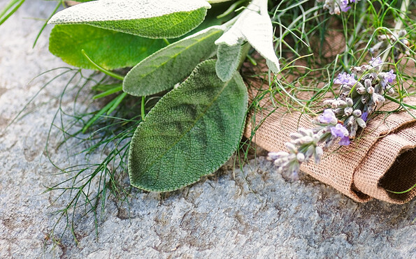 Foto: Adobe Stock, Lizenz: Adobe Stock