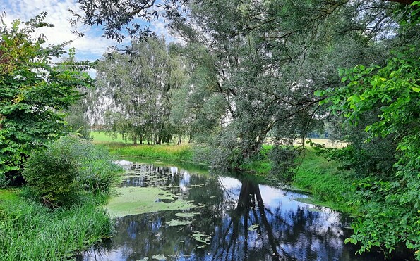 Foto: Maren Brodersen, Lizenz: Maren Brodersen