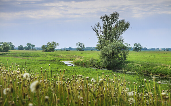 Foto: Lukas Häuser, Lizenz: BR Elbe-Brandenburg