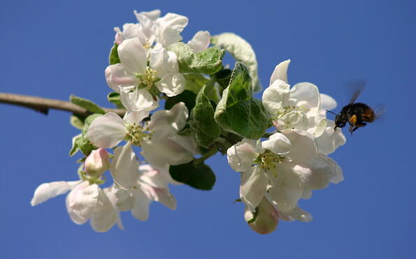 Foto: Marita Frahm, Lizenz: Marita Frahm