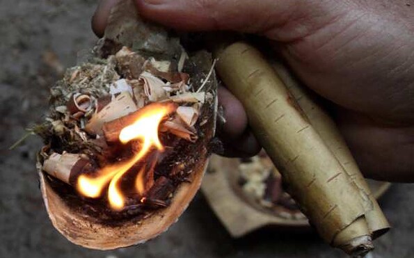 Foto: Werner Pfeifer, Lizenz: Werner Pfeifer