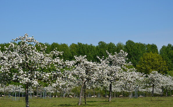 Foto: Peter Koch, Lizenz: LFV