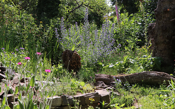 Foto: C. Kuchem , Lizenz: NABU