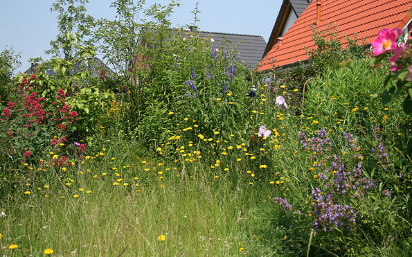 Foto: Eric Neuling , Lizenz: NABU