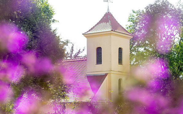 Foto: Andreas Fink, Potsdam, Lizenz: Andreas Fink, Potsdam