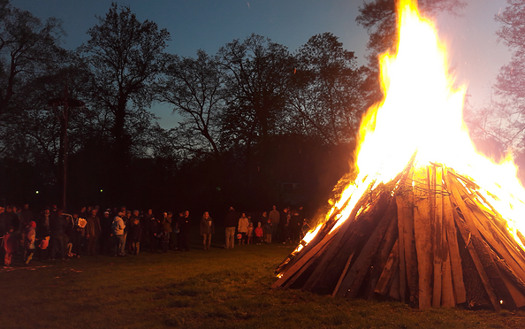 Foto: Gabriele Werner