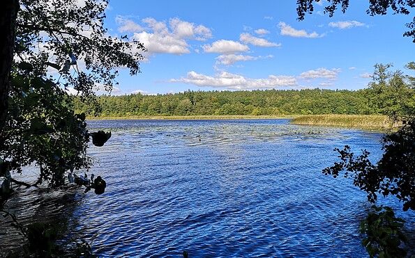 Foto: Merith Sommer, Lizenz: TMU GmbH