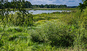 Stiftungsfläche Tangersdorf, Foto: Tilo Geisel, Lizenz: Tilo Geisel