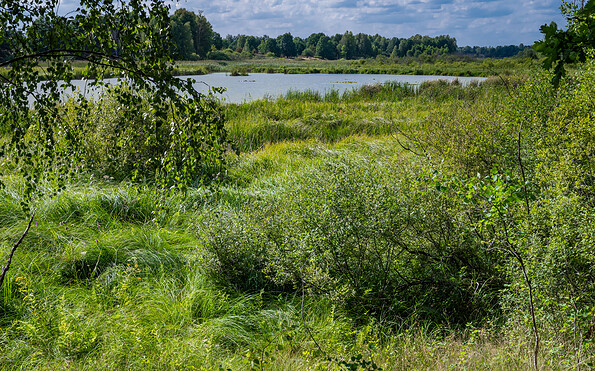 Stiftungsfläche Tangersdorf, Foto: Tilo Geisel, Lizenz: Tilo Geisel