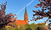 Klosterkirche Guben, Foto: MuT ― Marketing und Tourismus Guben e.V., Lizenz: MuT ― Marketing und Tourismus Guben e.V.