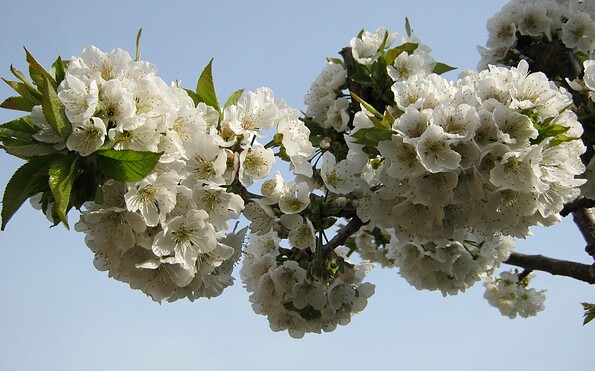 Foto: Kultur- und Tourismusamt, Lizenz: Kultur- und Tourismusamt