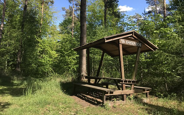 Foto: Anet Hoppe, Lizenz: TMU GmbH