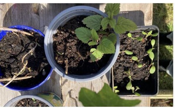 Foto: Iris Stern, Lizenz: Iris Stern