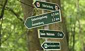 Wanderungen zum Frühlingserwachen Fest in der Köhlerei