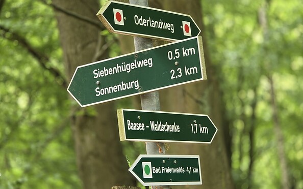 Foto: Bernd Müller Die NaturFreunde Oberbarnim Oderland e.V., Lizenz: Bernd Müller