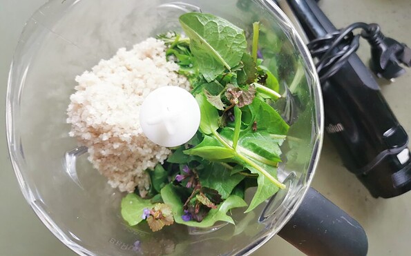 Foto: Ulrike Dittmann, Lizenz: pratensis