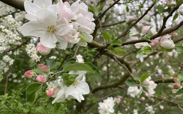 Foto: Anet Hoppe, Lizenz: TMU GmbH