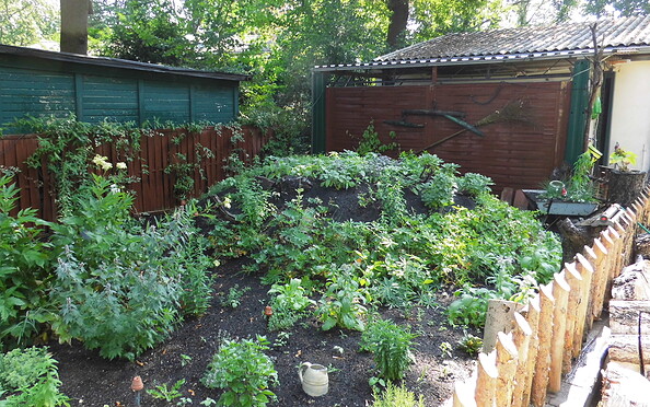 Foto: Ute Bernhardt, Lizenz: Ute Bernhardt