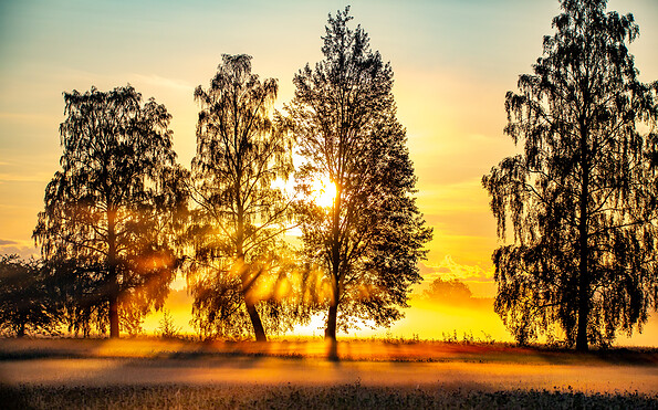 Foto: Wolfgang Beckert, Lizenz: Landkreis Oberhavel