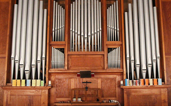 Foto: Dr. Florian Wilkes