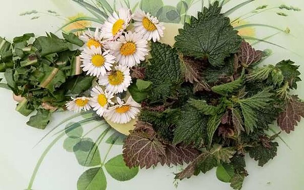 Foto: Doreen Landeck, Lizenz: Doreen Landeck