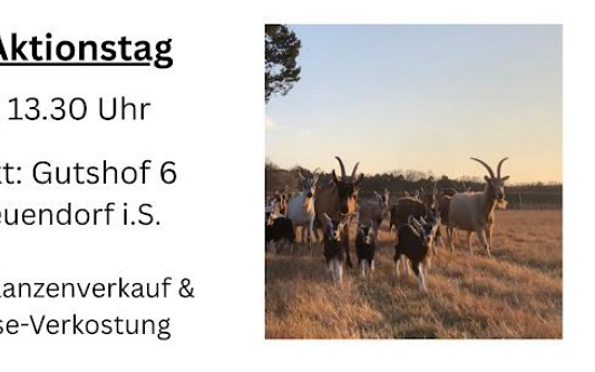 Foto: Solawi Lawine, Lizenz: Solawi Lawine