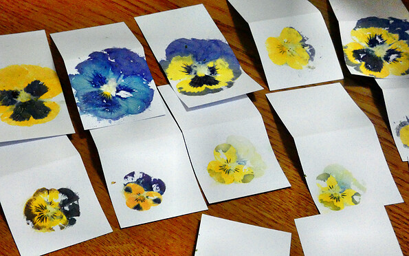 Foto: Denise Rose, Lizenz: Denise Rose