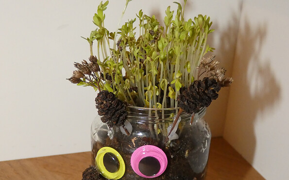 Foto: Denise Rose, Lizenz: Denise Rose