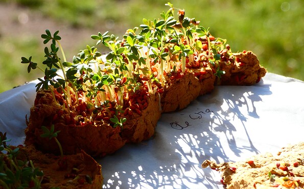 Foto: Denise Rose, Lizenz: Denise Rose