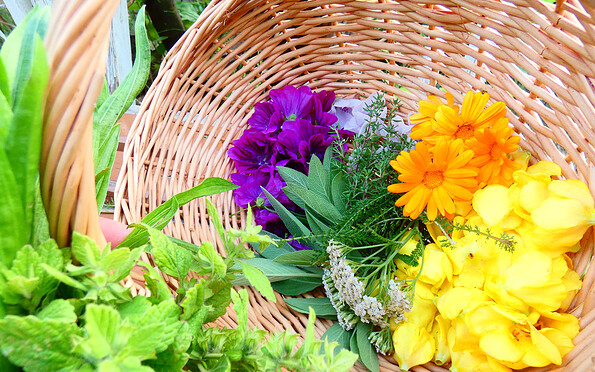 Foto: Denise Rose, Lizenz: Denise Rose