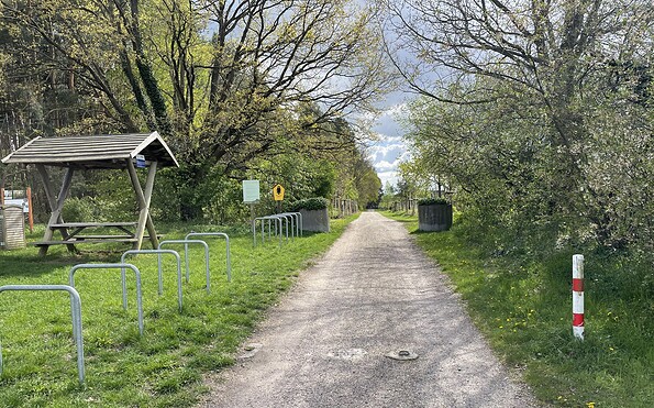 Langerönner, Foto: Thomas Andrezak, Lizenz: Thomas Andrezak