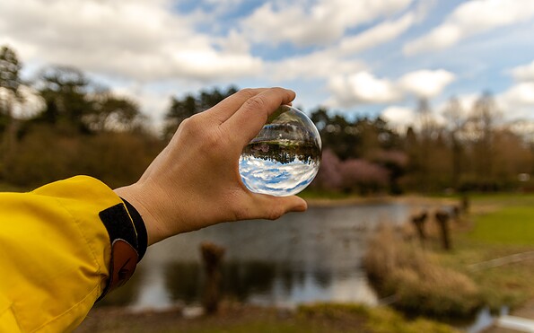 Foto: Adobe Photoshop, Lizenz: Stadt Senftenberg