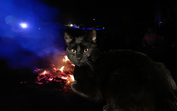 Foto: C FKmedia M. Muschiol, Lizenz: C FKmedia M. Muschiol