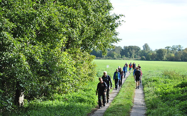 Foto: Dr. Mario Schrumpf, Lizenz: Naturpark Stechln-Ruppiner Land
