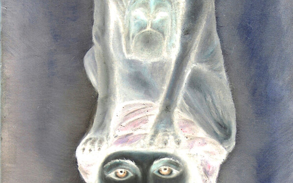 Foto: Motiv Falk Richwien, Bearbeitung Johanna Frohberg, Lizenz: Falk Richwien, Johanna Frohberg