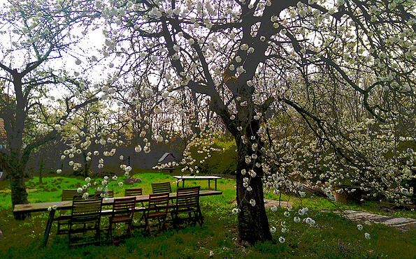 Foto: Johanna Frohberg, Foto und Bearbeitung, Lizenz: Johanna Frohberg