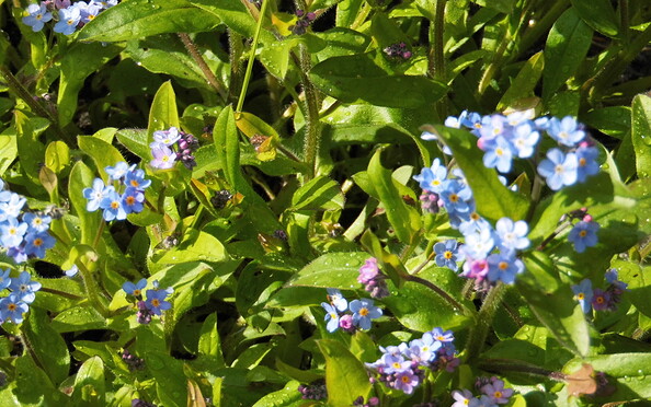 Foto: Ute Bernhardt, Lizenz: Ute Bernhardt