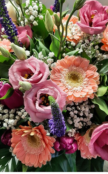 Foto: Hotel VIERSEITHOF, Lizenz: Hotel VIERSEITHOF