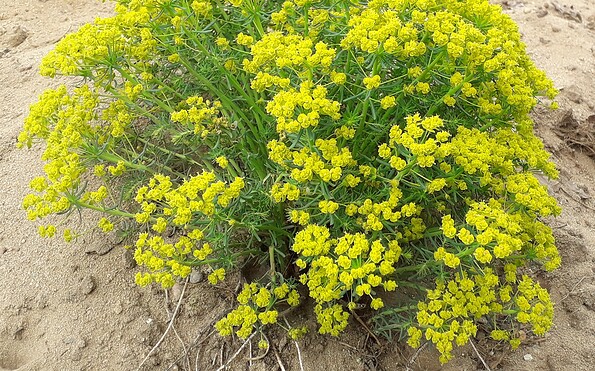 Foto: Michael Temme, Lizenz: Michael Temme